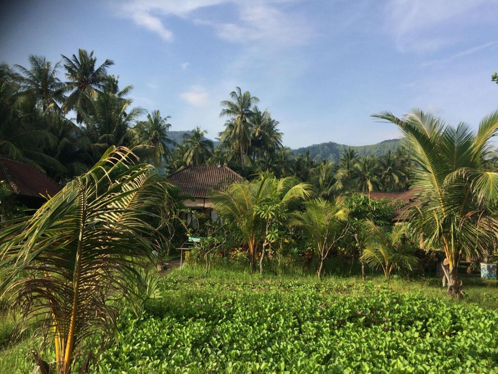 Bali Segara Lestari Oceanfront Villas تيجاكولا المظهر الخارجي الصورة