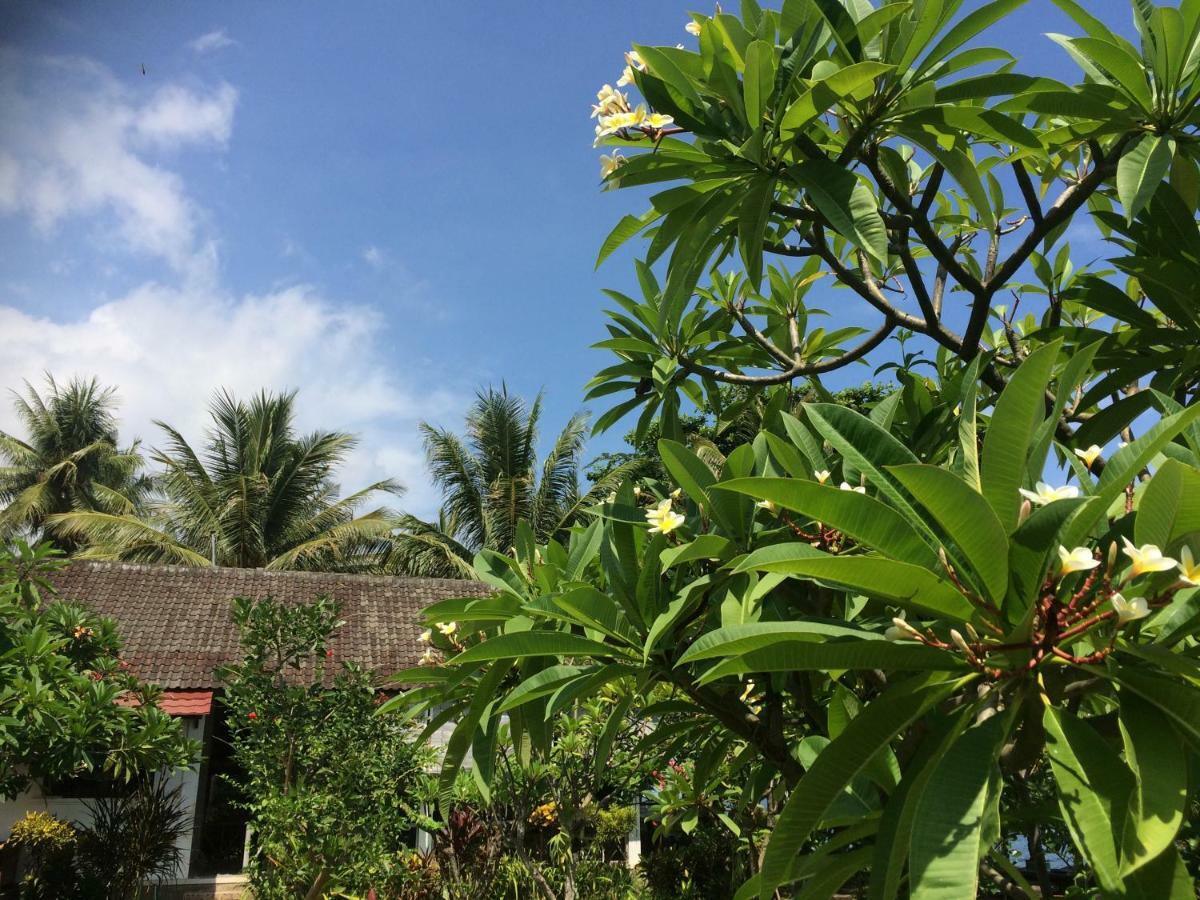 Bali Segara Lestari Oceanfront Villas تيجاكولا المظهر الخارجي الصورة