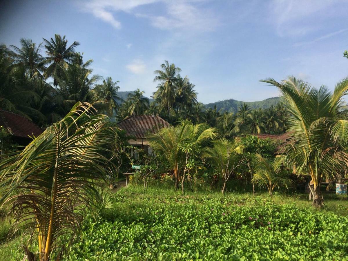 Bali Segara Lestari Oceanfront Villas تيجاكولا المظهر الخارجي الصورة